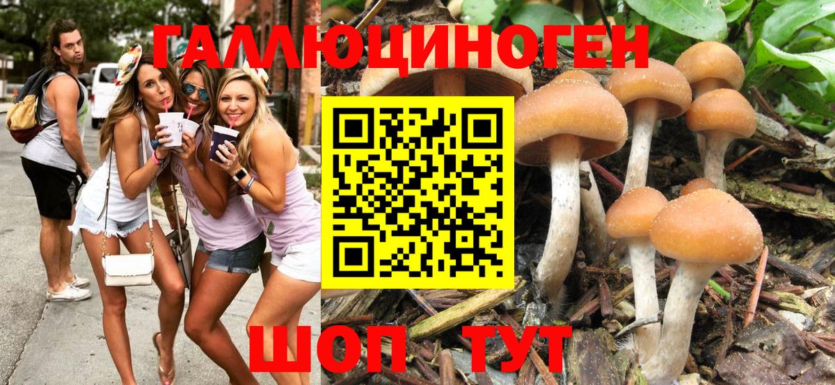 Галлюциногенные грибы Psilocybe  Вход с VPN  Томск 